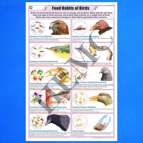 food-habits-of-birds-laboratory-products